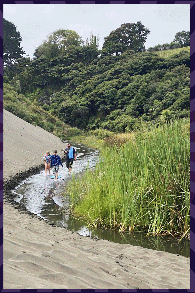 Family walking in a stream